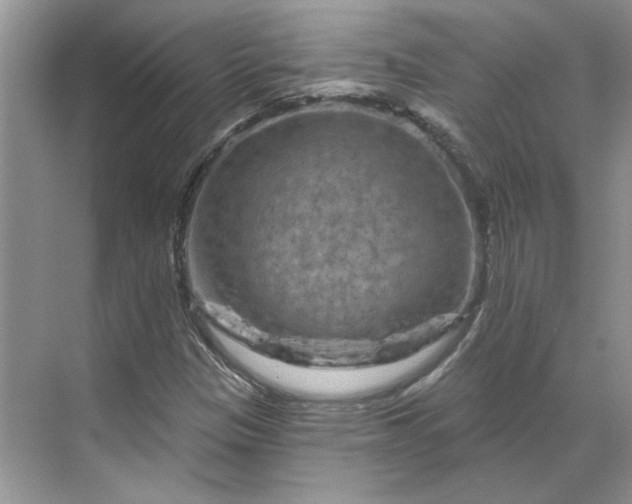 X0000070181305200606091456