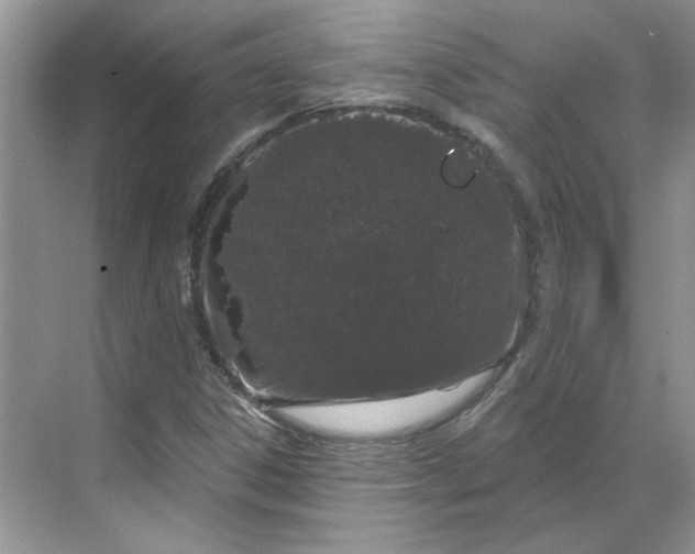 X0000070181306200606091456