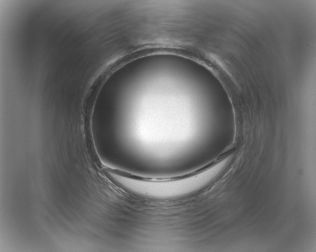 X0000070181307200606091456