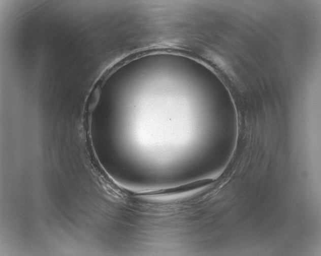 X0000070181308200606091456