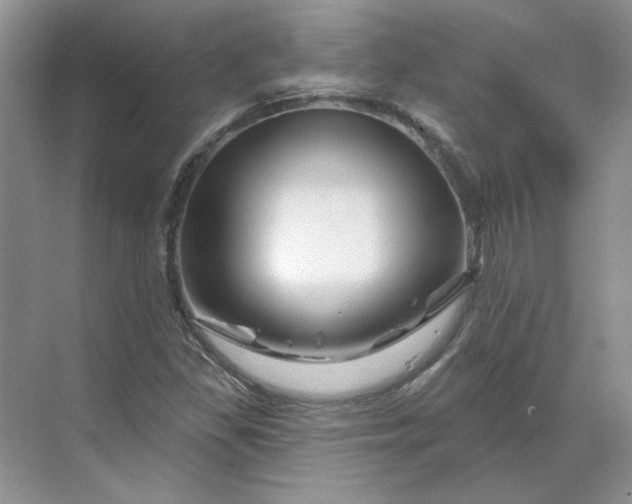 X0000070181309200606091456