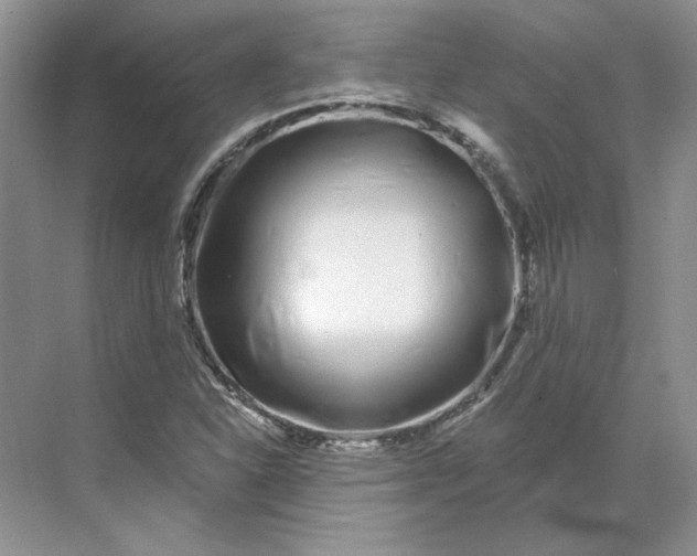 X0000070181310200606091456