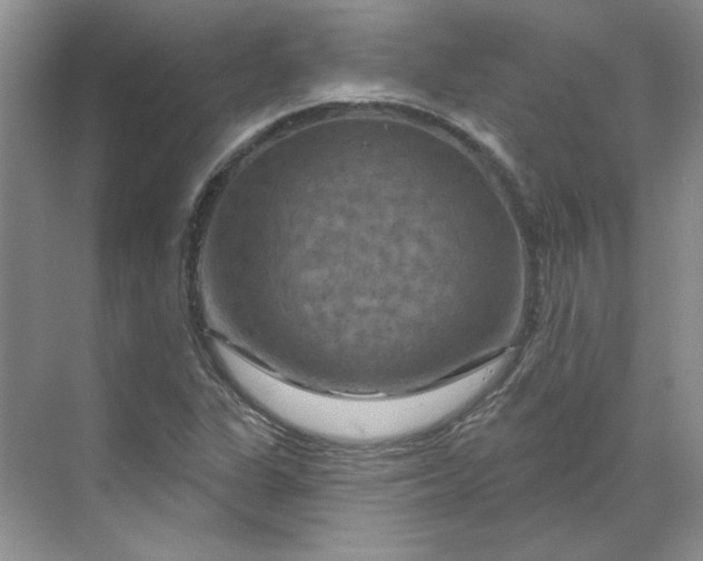 X0000070181311200606091456