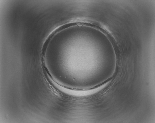 X0000070181312200606091456