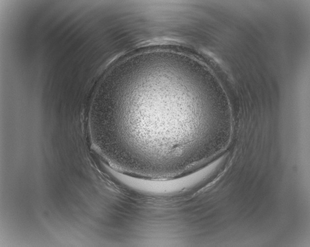 X0000070181313200606091456