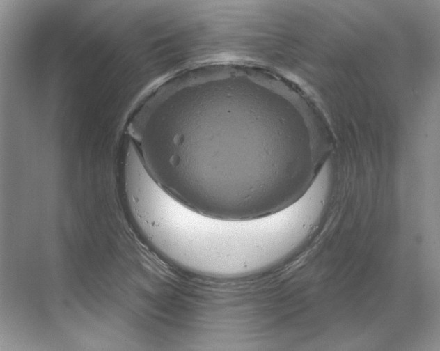 X0000070181314200606091456