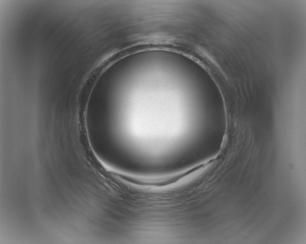 X0000070181315200606091456