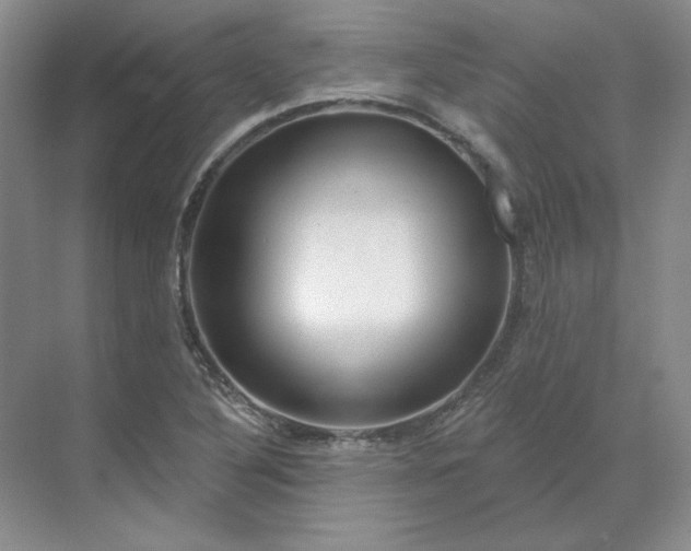 X0000070181316200606091456