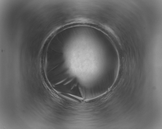 X0000070181318200606091456