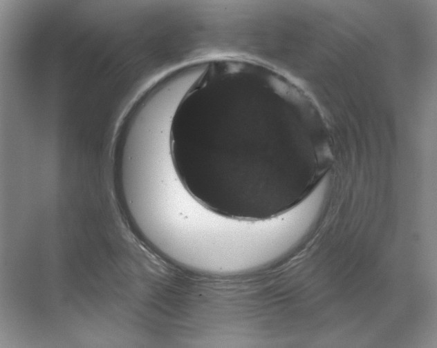 X0000070181319200606091456