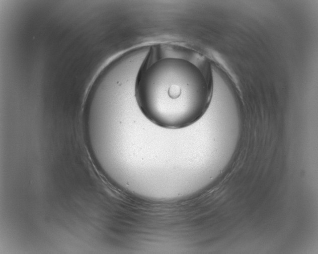 X0000070181320200606091456