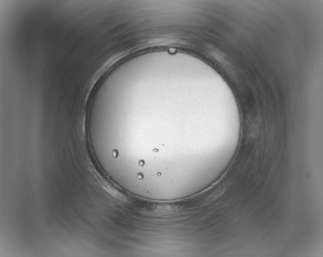 X0000070181322200606091456