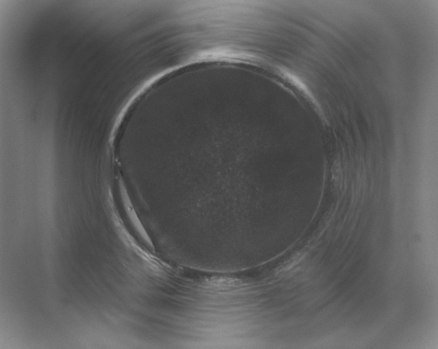 X0000070181323200606091456