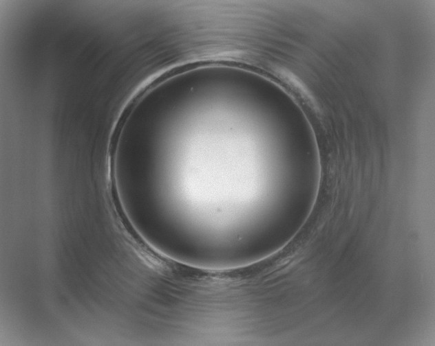 X0000070181324200606091456