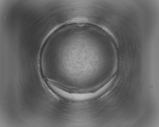 X0000070181325200606091456