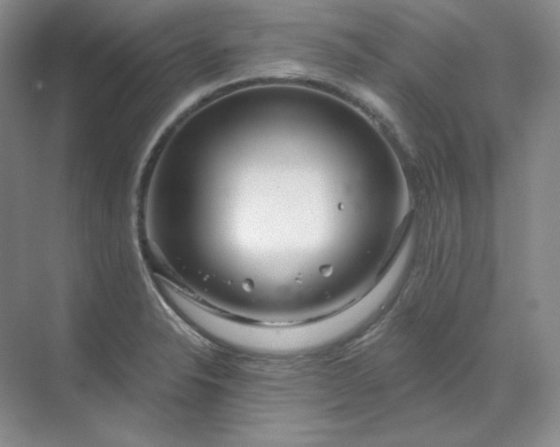 X0000070181326200606091456