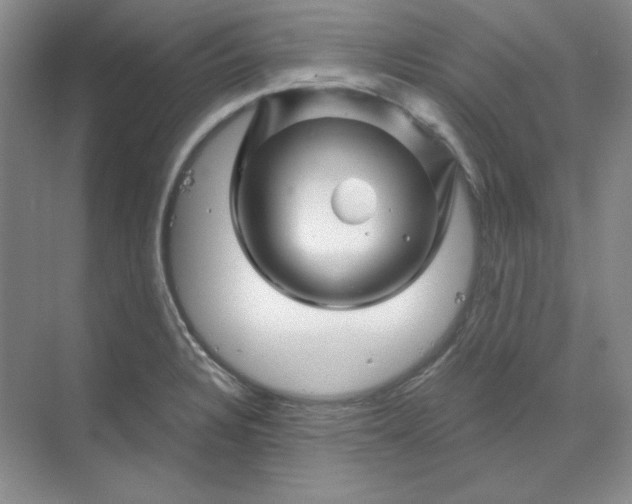 X0000070181328200606091456