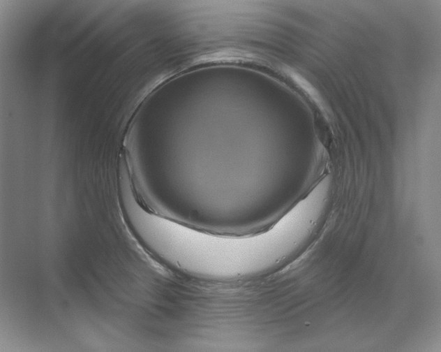 X0000070181329200606091456