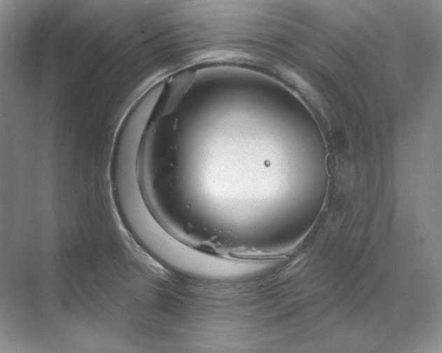 X0000070181330200606091456