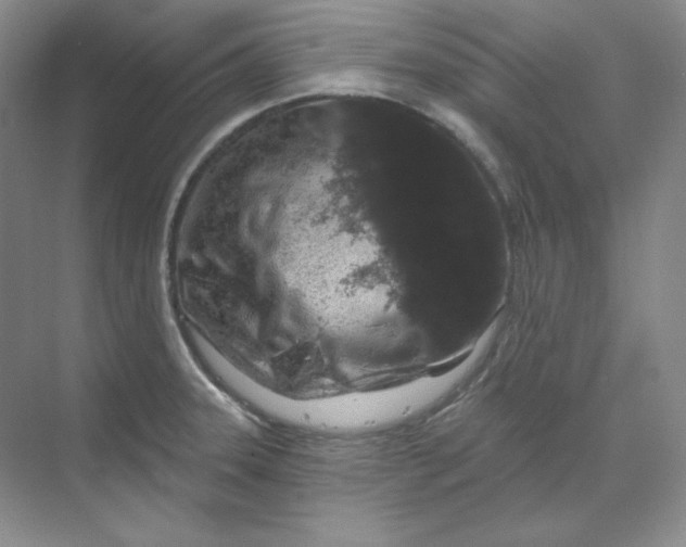 X0000070181331200606091456