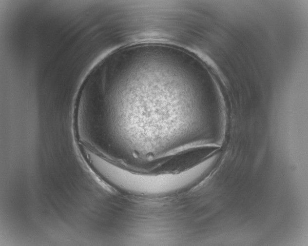 X0000070181333200606091456