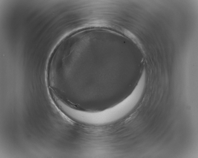 X0000070181334200606091456