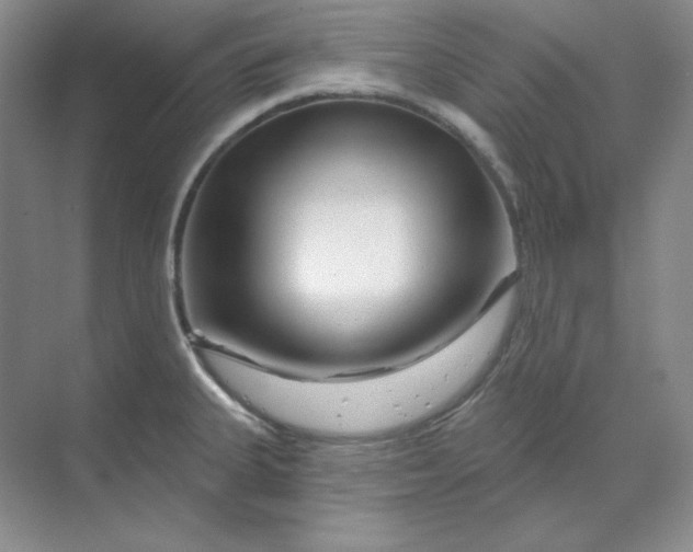 X0000070181335200606091457