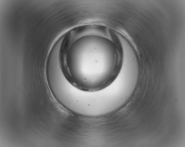 X0000070181336200606091457