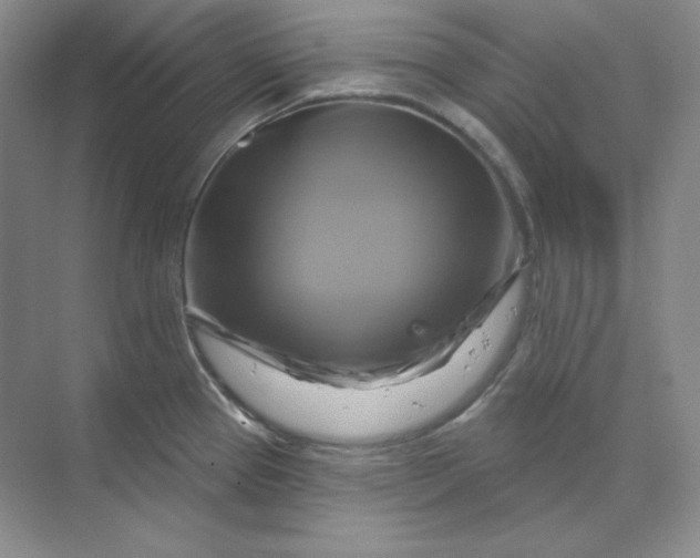 X0000070181337200606091457