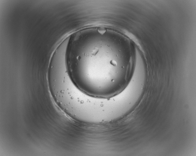 X0000070181338200606091457