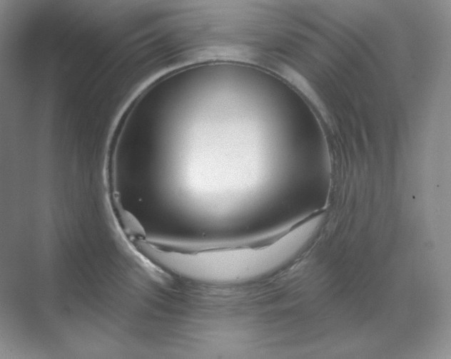 X0000070181339200606091457