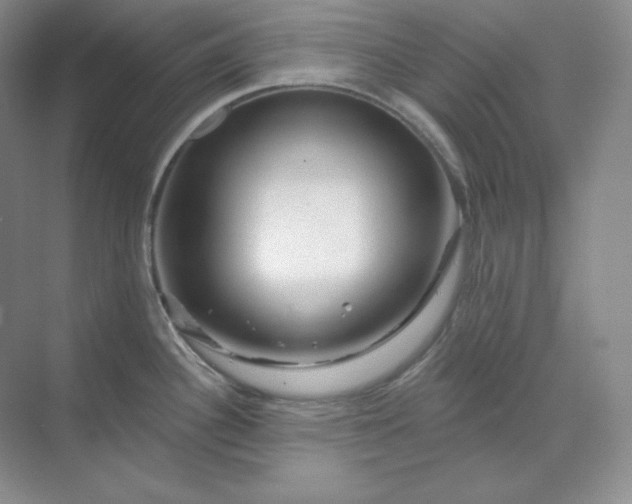 X0000070181340200606091457