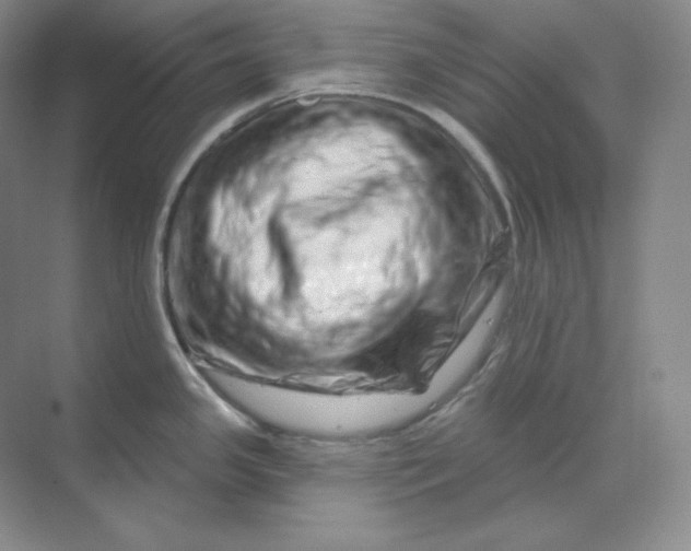 X0000070181341200606091457