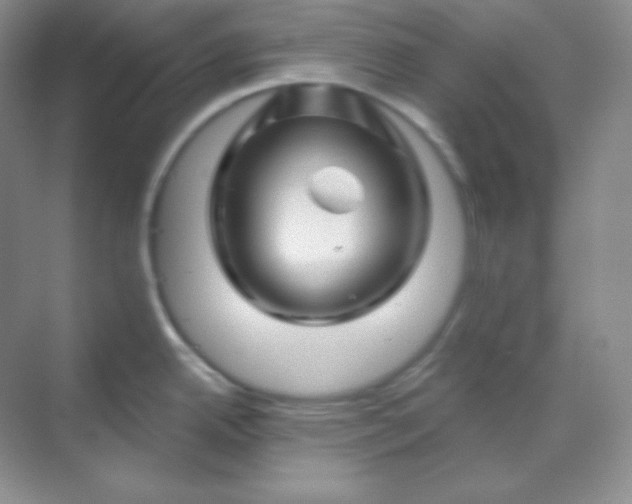 X0000070181342200606091457