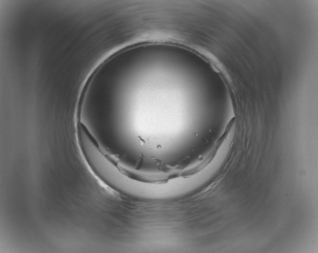 X0000070181343200606091457