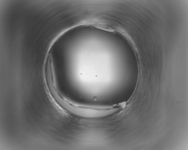 X0000070181344200606091457