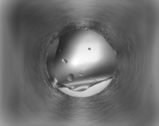 X0000070181345200606091456