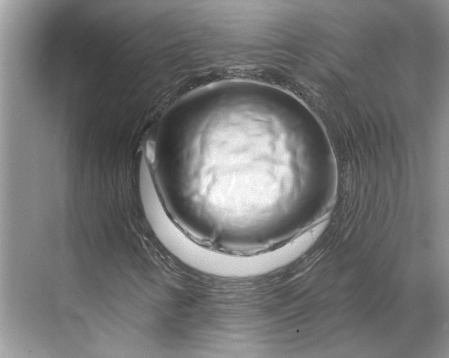 X0000070181346200606091456