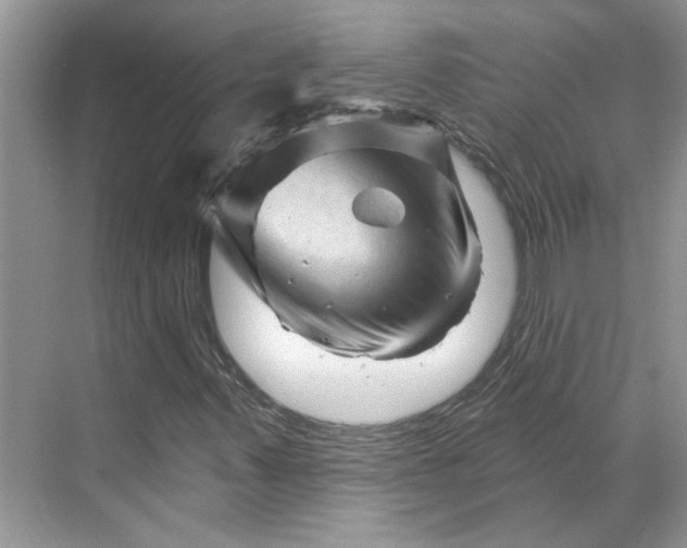 X0000070181347200606091456