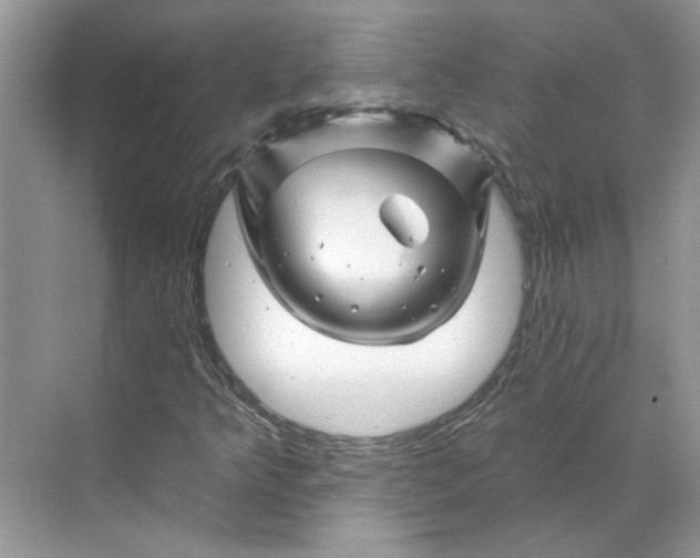 X0000070181349200606091456