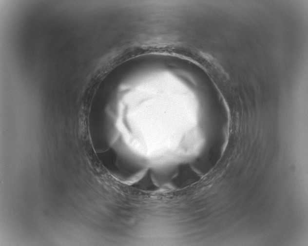 X0000070181350200606091456