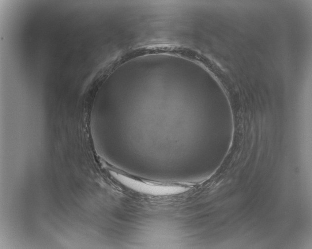 X0000070181351200606091456