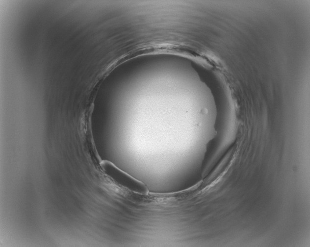 X0000070181353200606091456