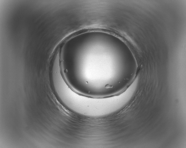 X0000070181356200606091456