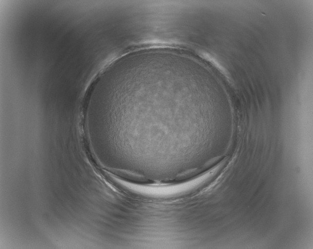 X0000070181357200606091456