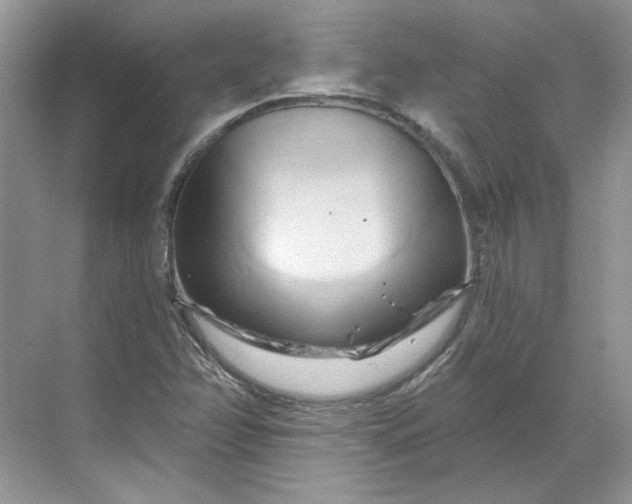 X0000070181358200606091456