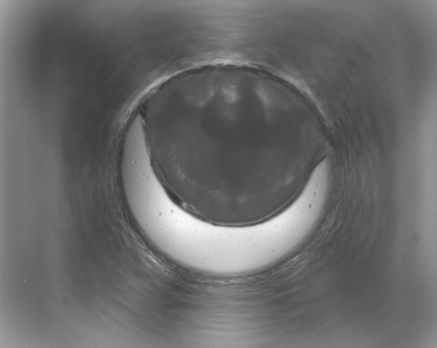 X0000070181359200606091456