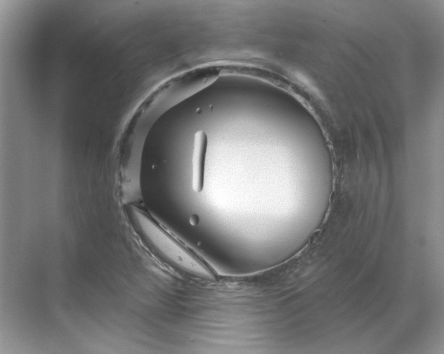 X0000070181360200606091456