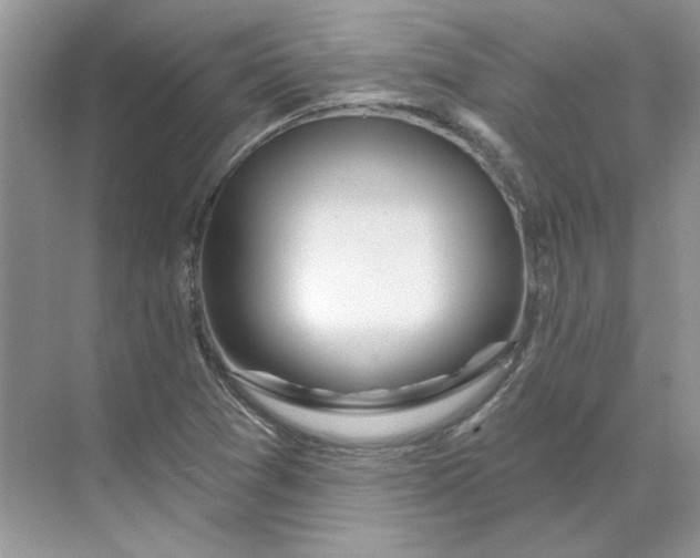 X0000070181361200606091456