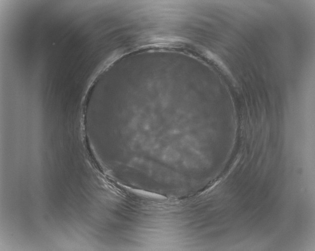 X0000070181362200606091456